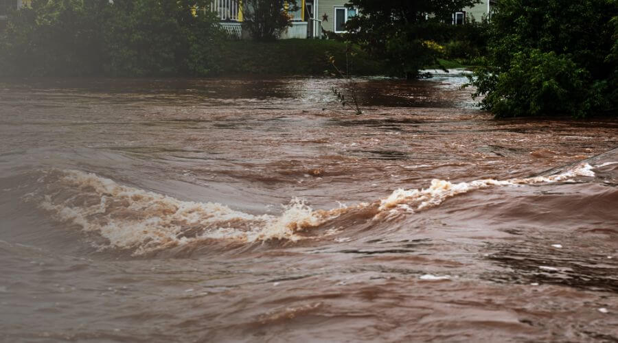 Why choose water damage restoration service for commercial flood cleanup in Towson